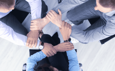 What is a Wellness Champion?