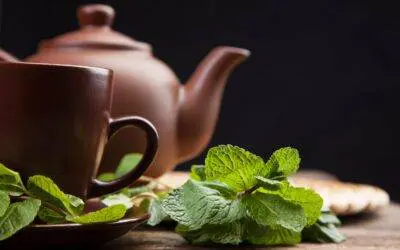 Food For Thought: Rest and Digest