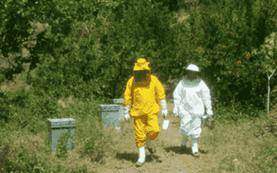 Atrium’s Head of Recruitment Lee Morley explains the benefits of a spoonful of honey every day